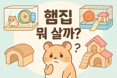 햄스터 케이지 선택 고민기: 어떤 하우스가 좋을까?